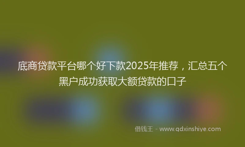 底商贷款平台哪个好下款2025年推荐，汇总五个黑户成功获取大额贷款的口子