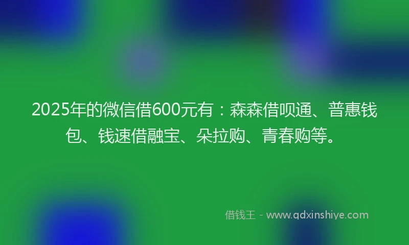 2025年的微信借600元有：森森借呗通、普惠钱包、钱速借融宝、朵拉购、青春购等。