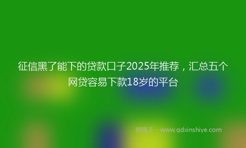 征信黑了能下的贷款口子2025年推荐，汇总五个网贷容易下款18岁的平台