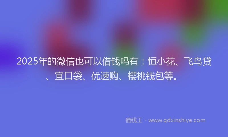 2025年的微信也可以借钱吗有：恒小花、飞鸟贷、宜口袋、优速购、樱桃钱包等。