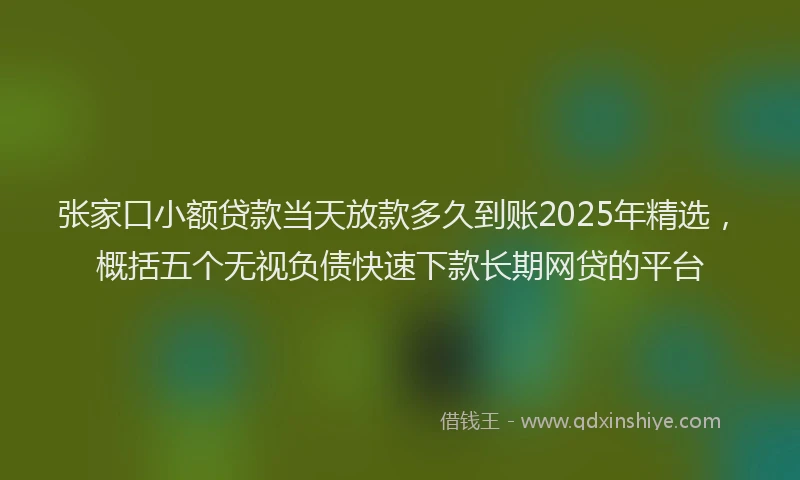 张家口小额贷款当天放款多久到账2025年精选，概括五个无视负债快速下款长期网贷的平台