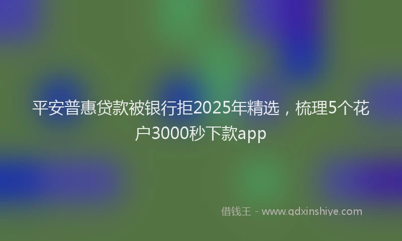 平安普惠贷款被银行拒2025年精选，梳理5个花户3000秒下款app