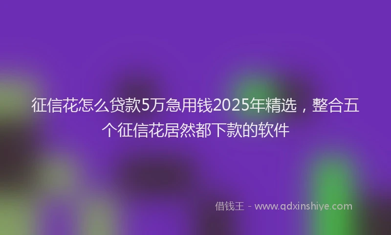征信花怎么贷款5万急用钱2025年精选，整合五个征信花居然都下款的软件