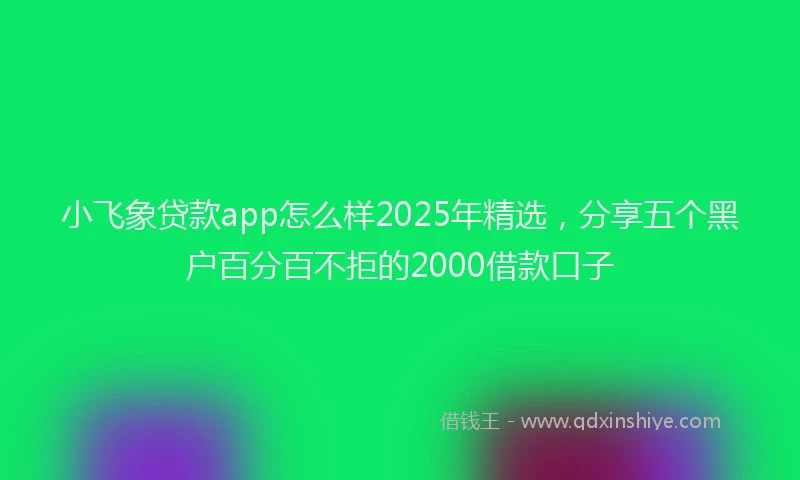 小飞象贷款app怎么样2025年精选，分享五个黑户百分百不拒的2000借款口子
