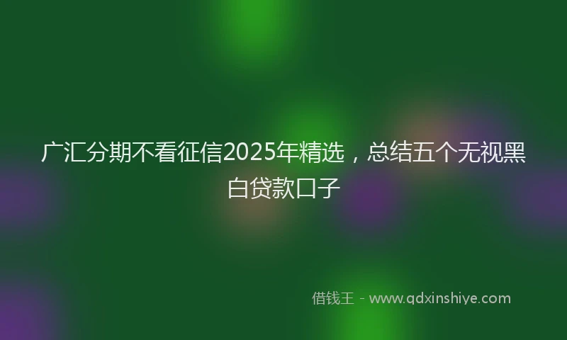 广汇分期不看征信2025年精选，总结五个无视黑白贷款口子