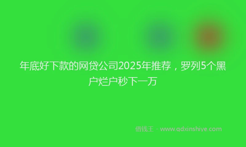 年底好下款的网贷公司2025年推荐，罗列5个黑户烂户秒下一万