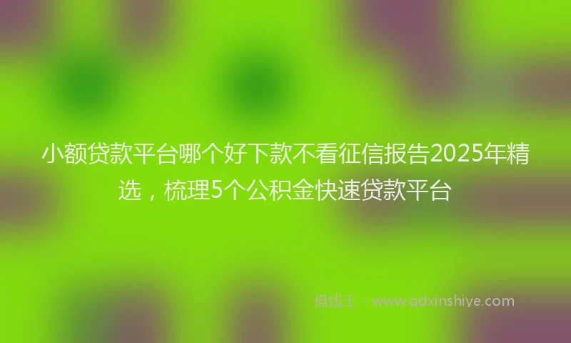 小额贷款平台哪个好下款不看征信报告2025年精选，梳理5个公积金快速贷款平台