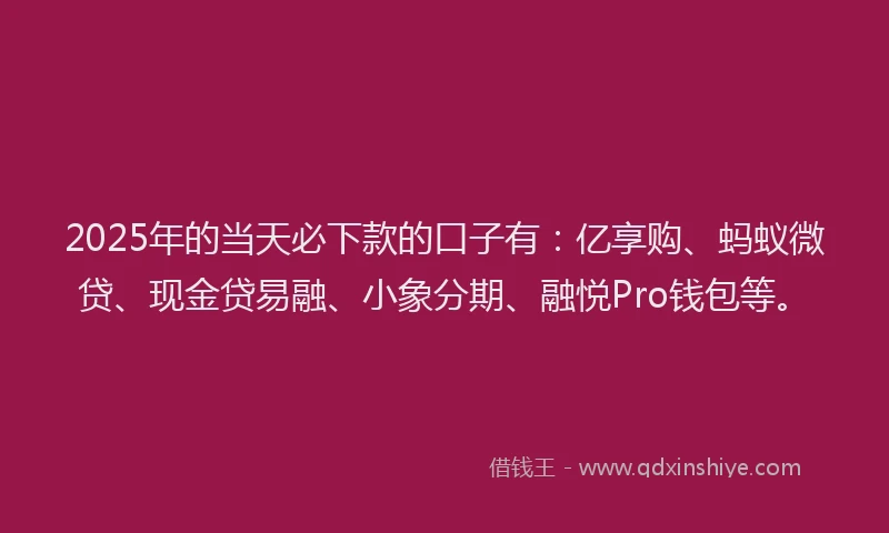 2025年的当天必下款的口子有：亿享购、蚂蚁微贷、现金贷易融、小象分期、融悦Pro钱包等。