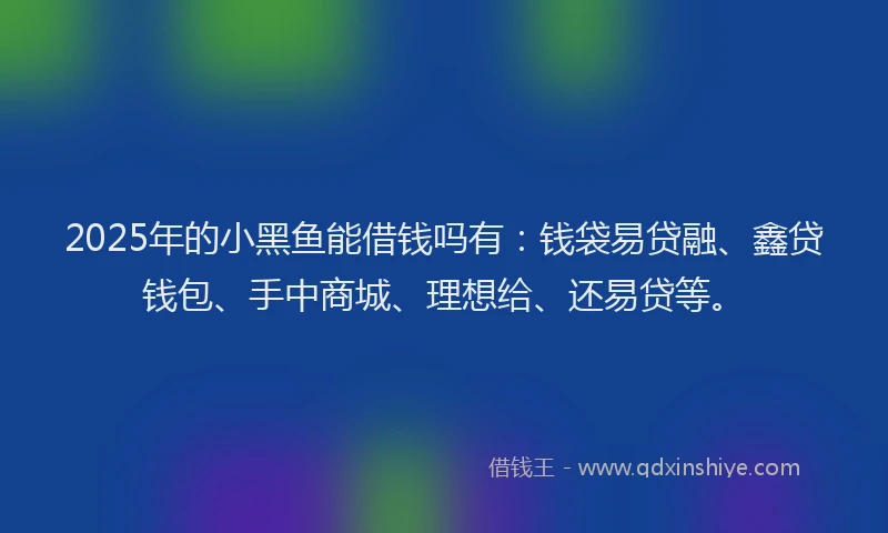 2025年的小黑鱼能借钱吗有：钱袋易贷融、鑫贷钱包、手中商城、理想给、还易贷等。