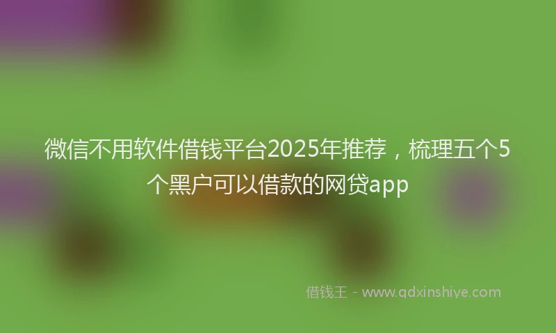 微信不用软件借钱平台2025年推荐，梳理五个5个黑户可以借款的网贷app