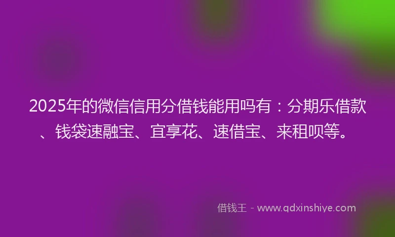 2025年的微信信用分借钱能用吗有：分期乐借款、钱袋速融宝、宜享花、速借宝、来租呗等。