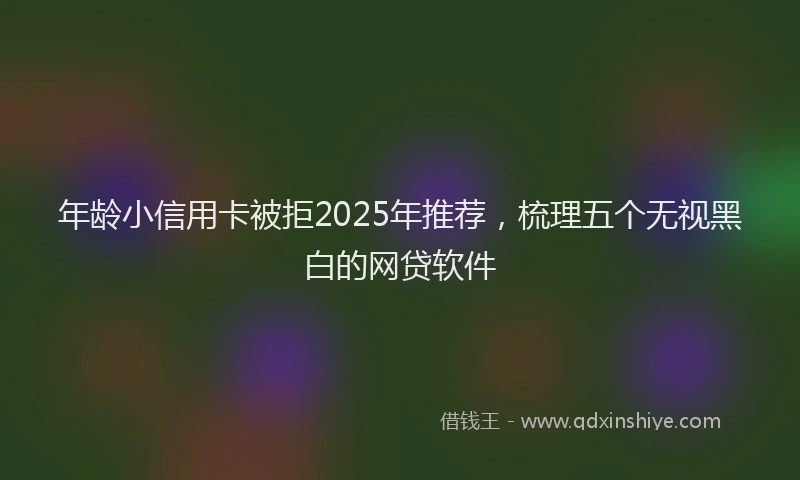 年龄小信用卡被拒2025年推荐，梳理五个无视黑白的网贷软件