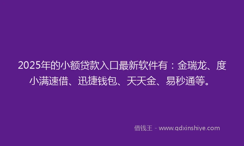 2025年的小额贷款入口最新软件有：金瑞龙、度小满速借、迅捷钱包、天天金、易秒通等。
