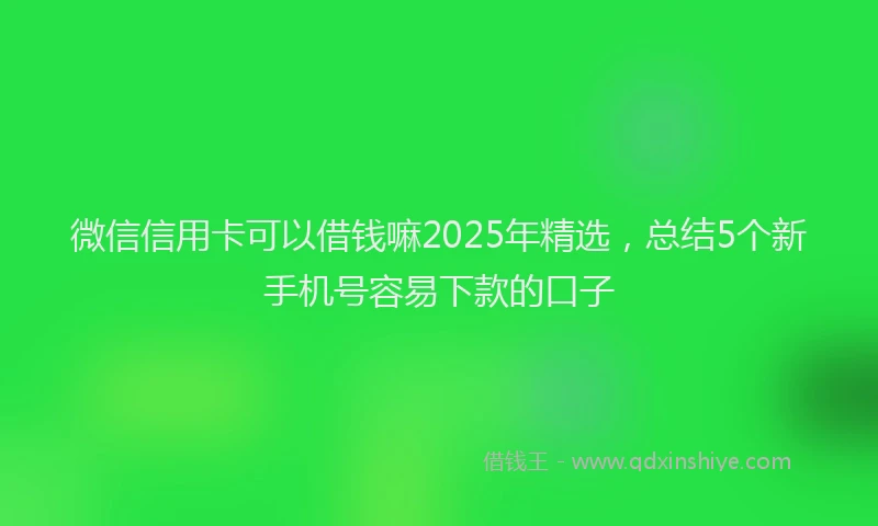微信信用卡可以借钱嘛2025年精选，总结5个新手机号容易下款的口子