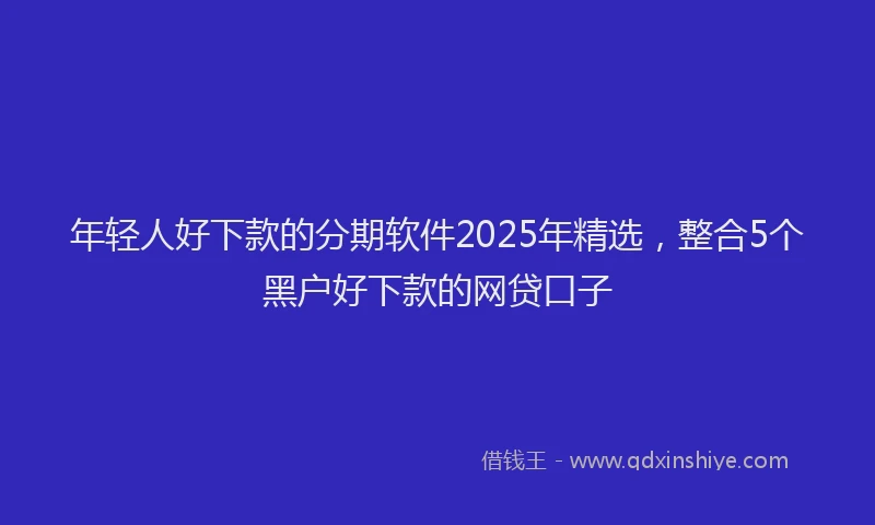年轻人好下款的分期软件2025年精选，整合5个黑户好下款的网贷口子