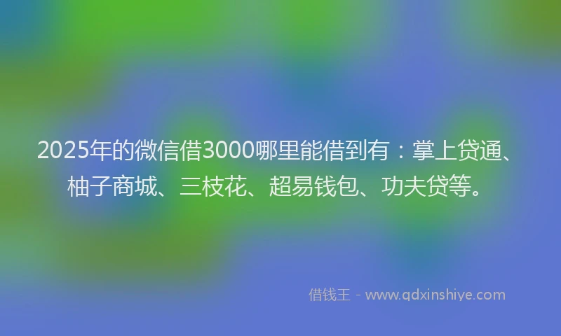2025年的微信借3000哪里能借到有：掌上贷通、柚子商城、三枝花、超易钱包、功夫贷等。
