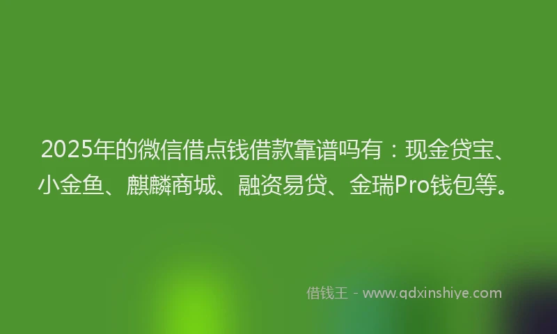 2025年的微信借点钱借款靠谱吗有：现金贷宝、小金鱼、麒麟商城、融资易贷、金瑞Pro钱包等。