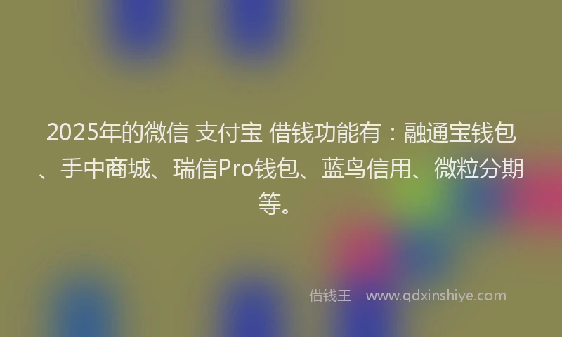 2025年的微信 支付宝 借钱功能有：融通宝钱包、手中商城、瑞信Pro钱包、蓝鸟信用、微粒分期等。