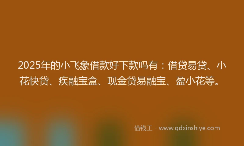 2025年的小飞象借款好下款吗有：借贷易贷、小花快贷、疾融宝盒、现金贷易融宝、盈小花等。