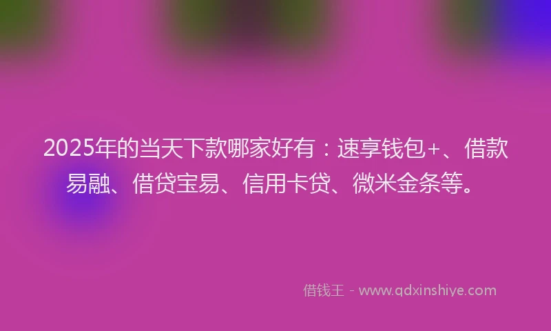 2025年的当天下款哪家好有：速享钱包+、借款易融、借贷宝易、信用卡贷、微米金条等。