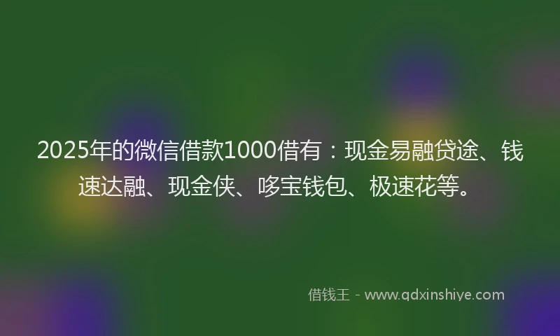 2025年的微信借款1000借有：现金易融贷途、钱速达融、现金侠、哆宝钱包、极速花等。