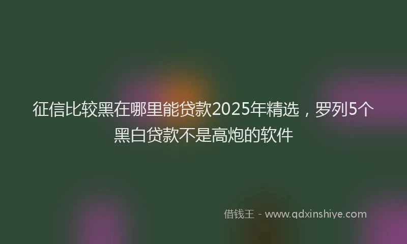 征信比较黑在哪里能贷款2025年精选，罗列5个黑白贷款不是高炮的软件