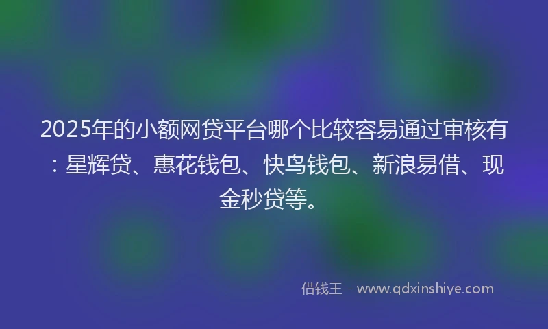 2025年的小额网贷平台哪个比较容易通过审核有：星辉贷、惠花钱包、快鸟钱包、新浪易借、现金秒贷等。