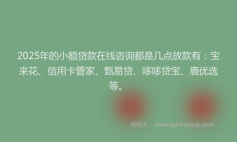 2025年的小额贷款在线咨询都是几点放款有：宝来花、信用卡管家、甄易贷、哆哆贷宝、鹿优选等。
