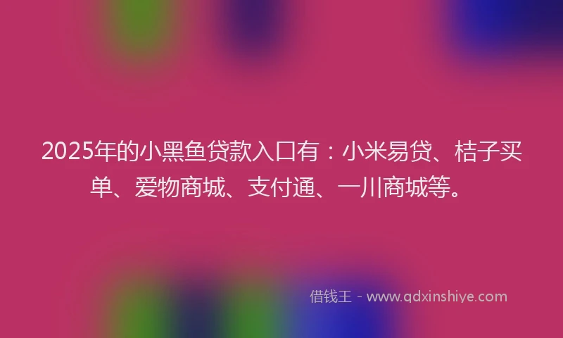 2025年的小黑鱼贷款入口有：小米易贷、桔子买单、爱物商城、支付通、一川商城等。