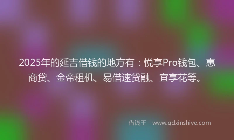 2025年的延吉借钱的地方有：悦享Pro钱包、惠商贷、金帝租机、易借速贷融、宜享花等。