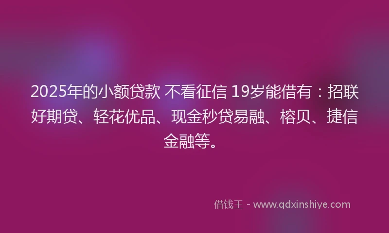 2025年的小额贷款 不看征信 19岁能借有：招联好期贷、轻花优品、现金秒贷易融、榕贝、捷信金融等。