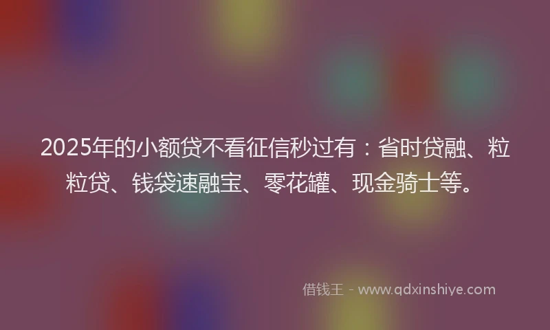 2025年的小额贷不看征信秒过有：省时贷融、粒粒贷、钱袋速融宝、零花罐、现金骑士等。
