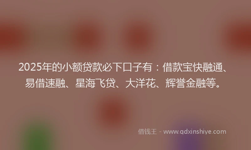 2025年的小额贷款必下口子有：借款宝快融通、易借速融、星海飞贷、大洋花、辉誉金融等。