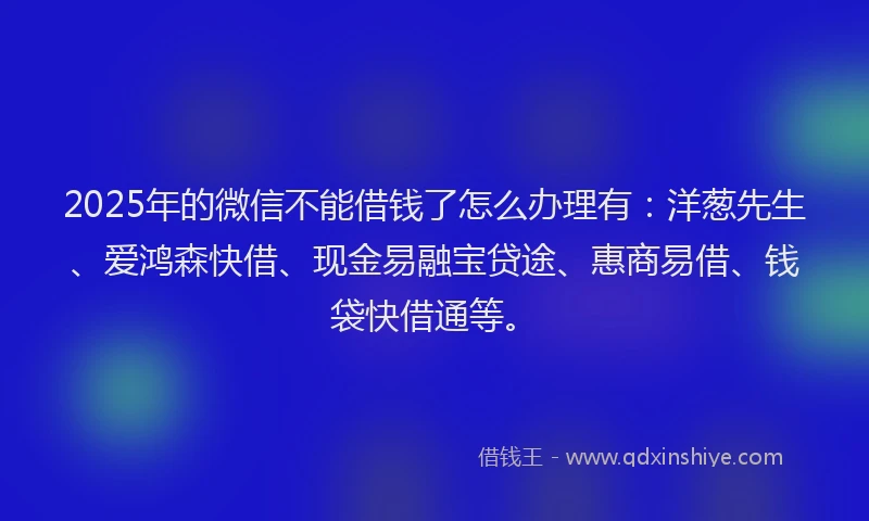 2025年的微信不能借钱了怎么办理有：洋葱先生、爱鸿森快借、现金易融宝贷途、惠商易借、钱袋快借通等。