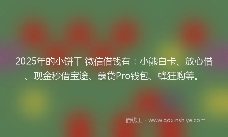 2025年的小饼干 微信借钱有：小熊白卡、放心借、现金秒借宝途、鑫贷Pro钱包、蜂狂购等。
