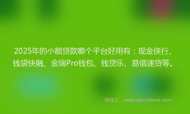 2025年的小额贷款哪个平台好用有：现金侠行、钱袋快融、金瑞Pro钱包、钱贷乐、易借速贷等。