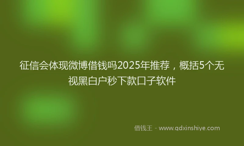 征信会体现微博借钱吗2025年推荐，概括5个无视黑白户秒下款口子软件