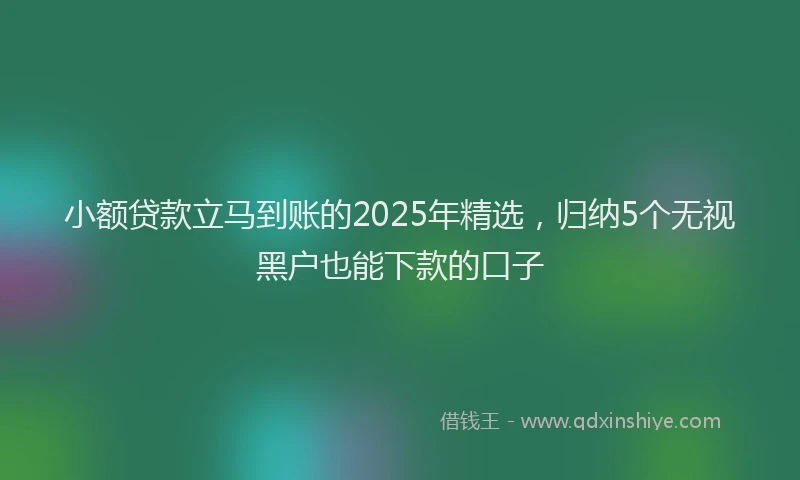 小额贷款立马到账的2025年精选，归纳5个无视黑户也能下款的口子