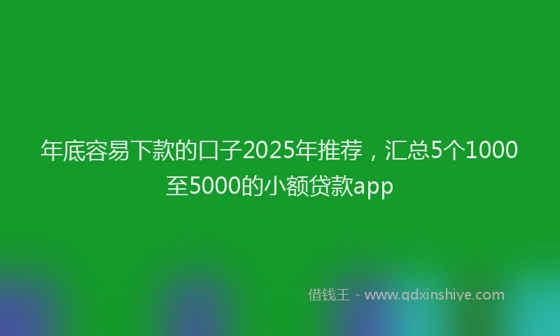 年底容易下款的口子2025年推荐，汇总5个1000至5000的小额贷款app
