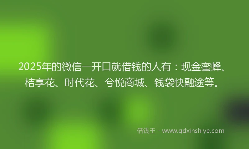 2025年的微信一开口就借钱的人有：现金蜜蜂、桔享花、时代花、兮悦商城、钱袋快融途等。