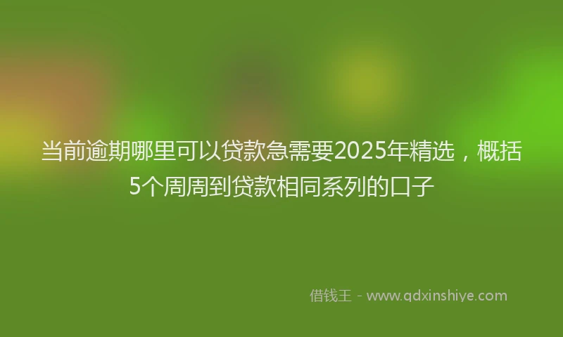 当前逾期哪里可以贷款急需要2025年精选，概括5个周周到贷款相同系列的口子