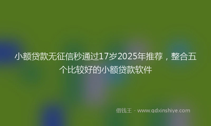 小额贷款无征信秒通过17岁2025年推荐，整合五个比较好的小额贷款软件