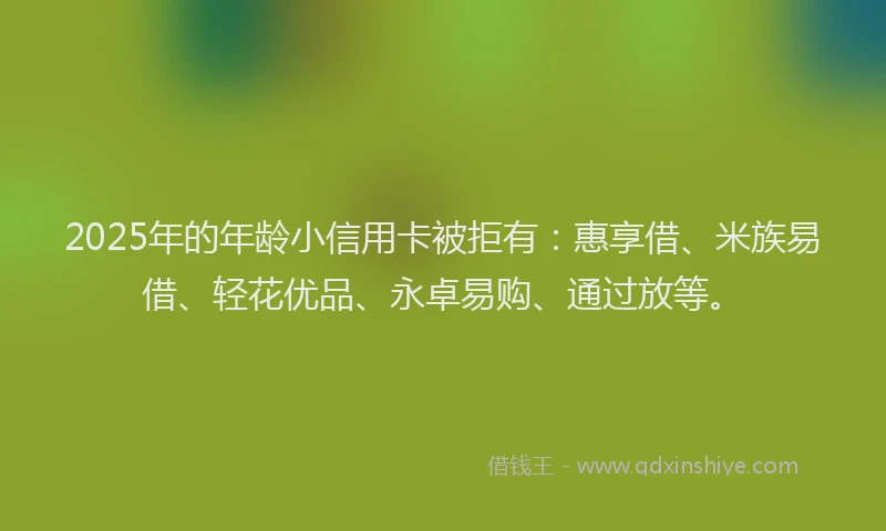 2025年的年龄小信用卡被拒有：惠享借、米族易借、轻花优品、永卓易购、通过放等。