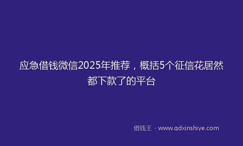 应急借钱微信2025年推荐，概括5个征信花居然都下款了的平台