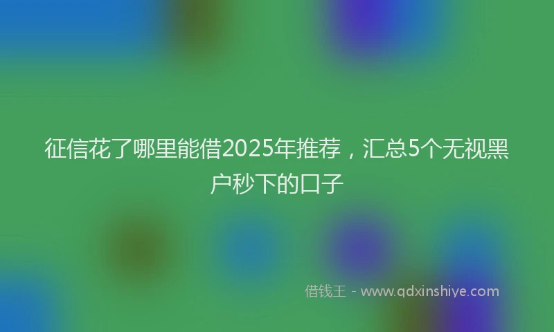 征信花了哪里能借2025年推荐，汇总5个无视黑户秒下的口子