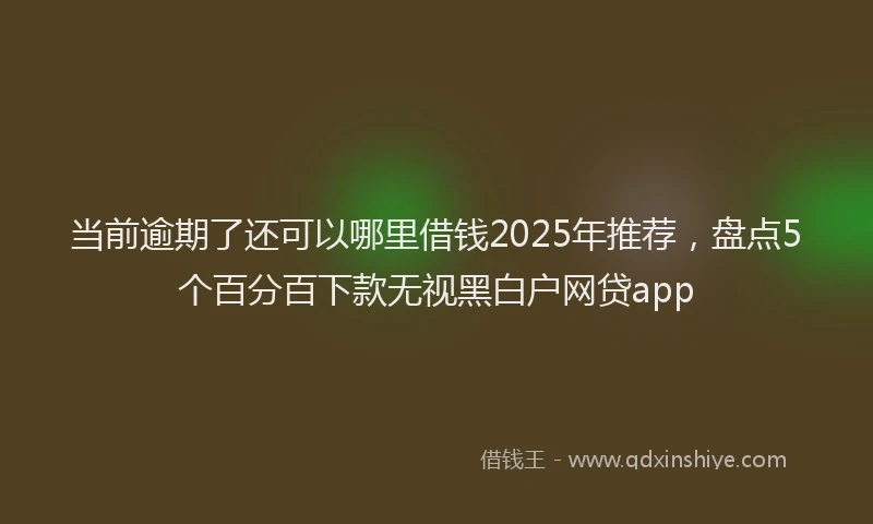 当前逾期了还可以哪里借钱2025年推荐，盘点5个百分百下款无视黑白户网贷app