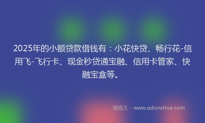 2025年的小额贷款借钱有：小花快贷、畅行花-信用飞-飞行卡、现金秒贷通宝融、信用卡管家、快融宝盒等。