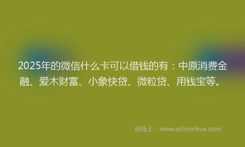 2025年的微信什么卡可以借钱的有：中原消费金融、爱木财富、小象快贷、微粒贷、用钱宝等。