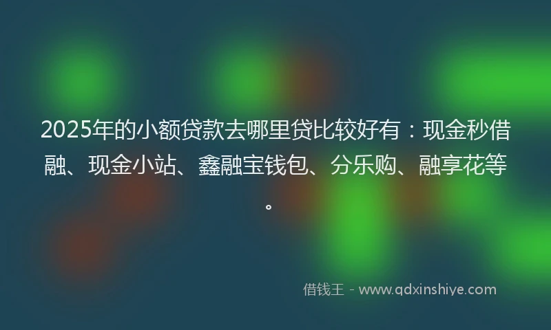 2025年的小额贷款去哪里贷比较好有：现金秒借融、现金小站、鑫融宝钱包、分乐购、融享花等。