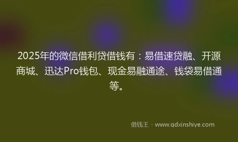 2025年的微信借利贷借钱有：易借速贷融、开源商城、迅达Pro钱包、现金易融通途、钱袋易借通等。
